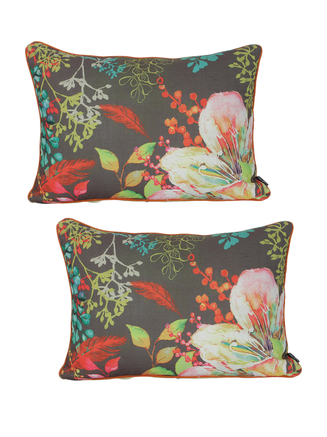 Set of 2 Decorative Sham/Baby/Rectangle Cushion Cover Digital Printed Premium Soft Polylinen Fabric Multi Color