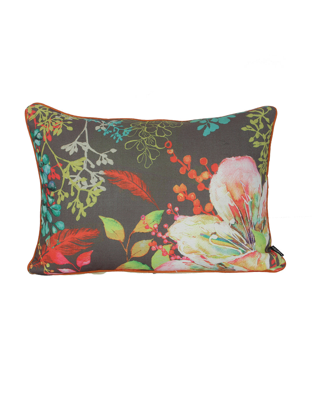 Set of 2 Decorative Sham/Baby/Rectangle Cushion Cover Digital Printed Premium Soft Polylinen Fabric Multi Color